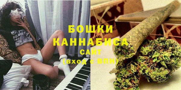 спайс Бородино