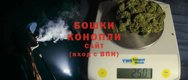 спайс Бородино