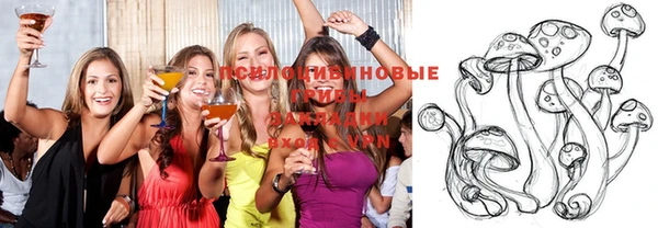 спайс Бородино