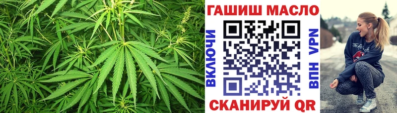 Купить закладки  Славянск-на-Кубани  ТГК концентрат 